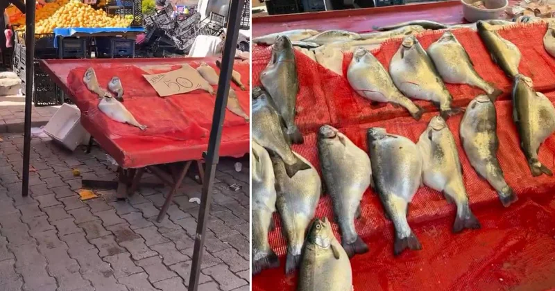 Pazarda kilosu 50 TL ye satılıyor! Gıda mühendisi uyardı: Sakın almayın