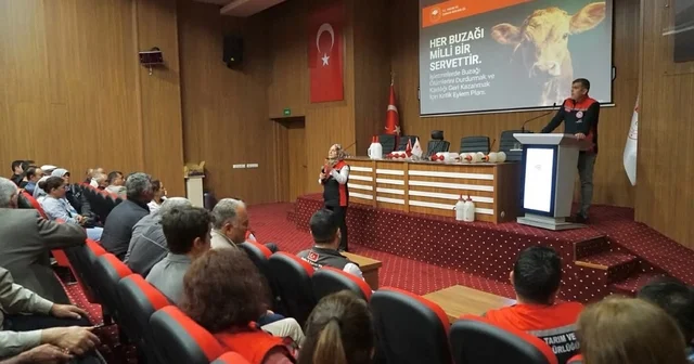 Muğla da buzağı kayıplarını azaltmaya yönelik eğitimler başladı Muğla Haberleri