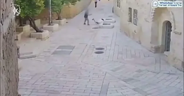 Yahudi fanatik Fransız katolik kadını sokakta saldırdı