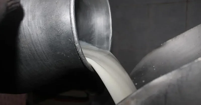 Süt üreticilerine 6 yılda 24,6 milyar liralık dev destek