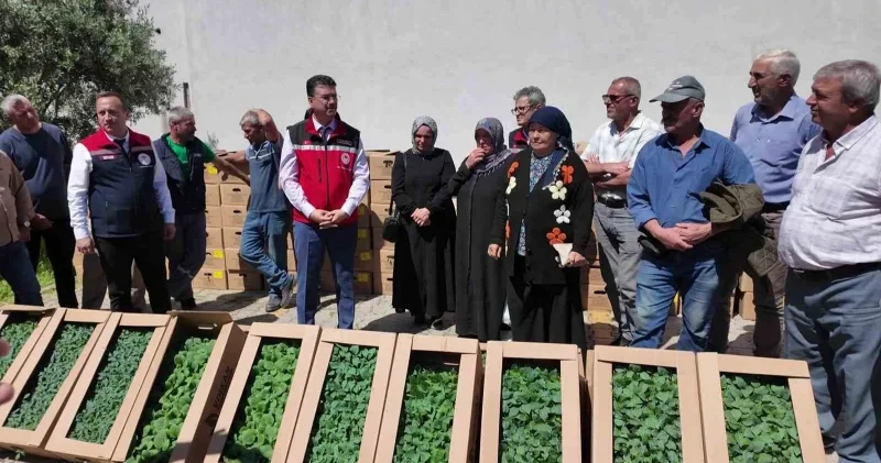 Tekirdağ’da 407 üreticiye 256 bin yazlık sebze fidesi dağıtıldı Tekirdağ Haberleri
