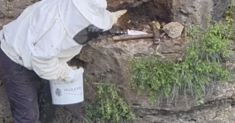 Karakoçan da Çobandan Bal Macerası
