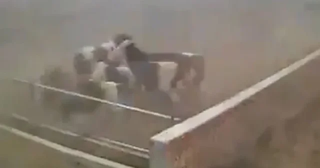 Çin’de hortum ahırı büyük bir güçle vurdu: İneklerin kaçışma anları kameraya yansıdı VİDEO İZLE