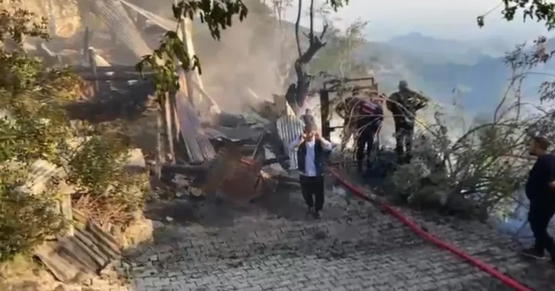 Yayla evinden ormana sıçrayan yangın söndürüldü