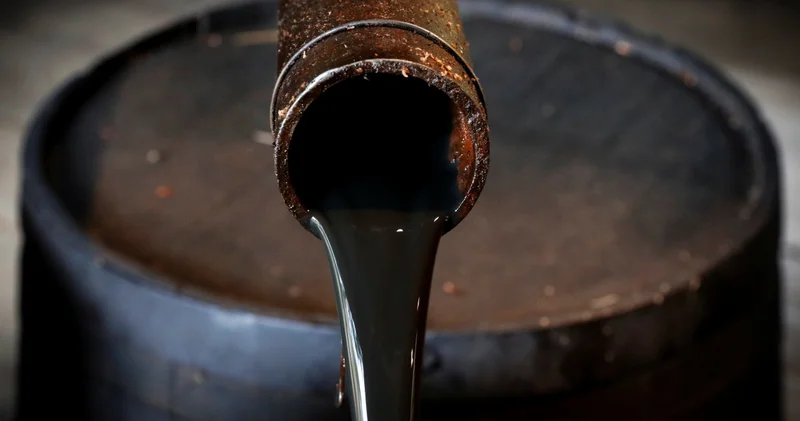 Petrol hakkına müteallik karar