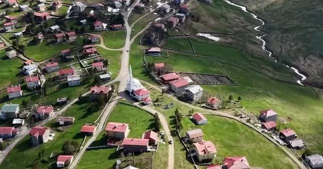 Trabzon yaylaları baharın renkleriyle ziyaretçilerini büyülüyor VİDEO İZLE