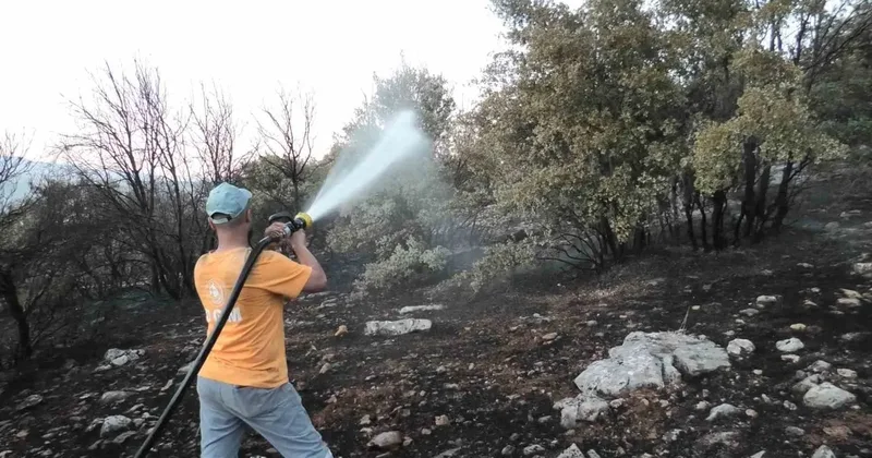 Orman yangını korkuttu