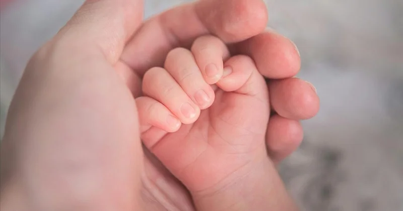 Almanya da doğum oranı son 28 yılın en düşük seviyesine geriledi