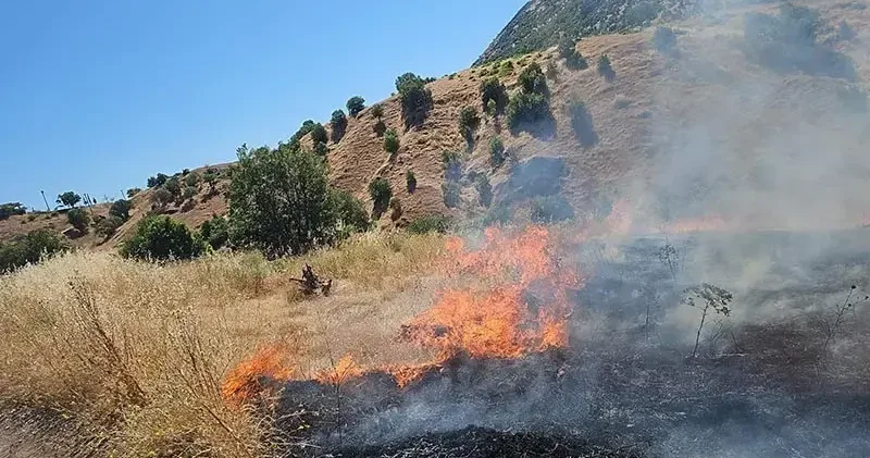 Diyarbakır’da örtü yangını