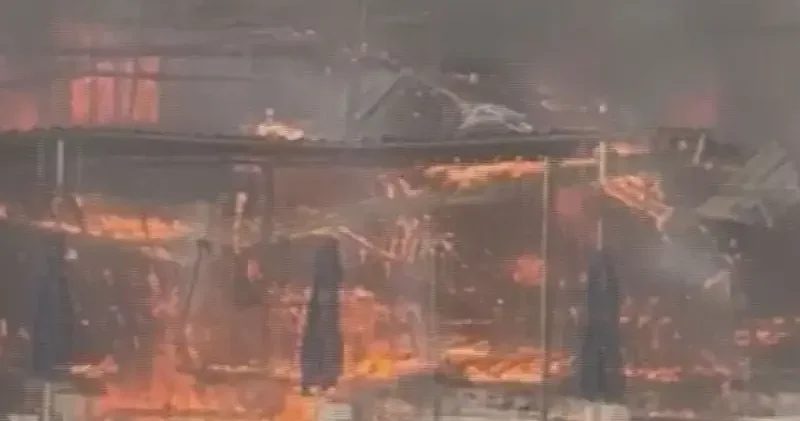 Büyükada da plajda çıkan yangın ormana sıçradı; 4 kişi dumandan etkilendi