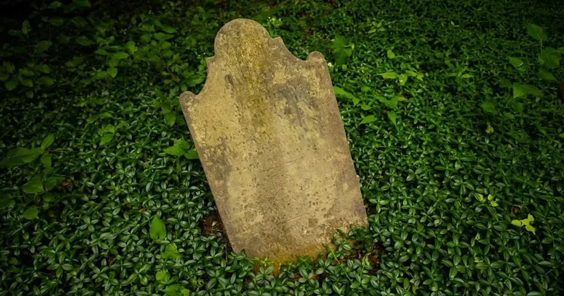 Bahçelerinde öyle bir şey buldular ki yetkililer anında eve geldi Sözcü Gazetesi