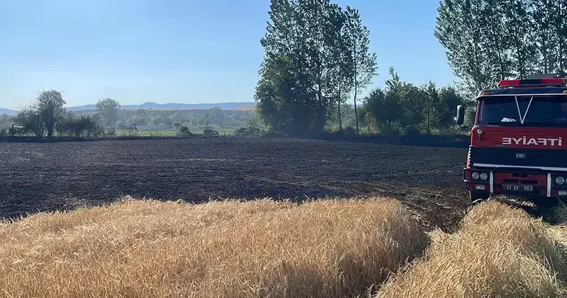 Kastamonu da buğday ekili tarlada yangın