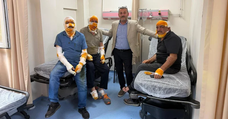 Ordu da bir evin mutfağındaki patlamada 5 kişi yaralandı