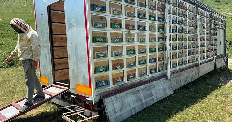 Karslı arıcıdan Türkiye de bir ilk: TIR dorsesini mobil bal üretim tesisine dönüştürdü