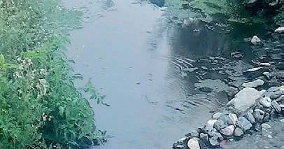 YÜKSEL AYTUĞ Yazık oldu Ege’nin cennet koylarına