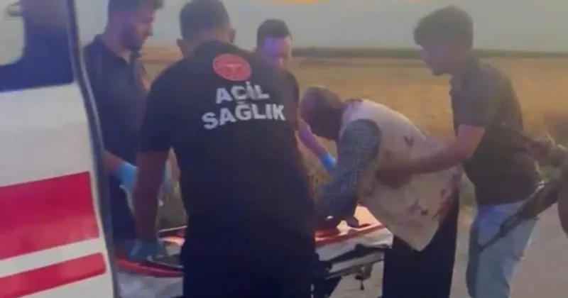 Gaziantep’te hayvan otlatma kavgası; 2 yaralı