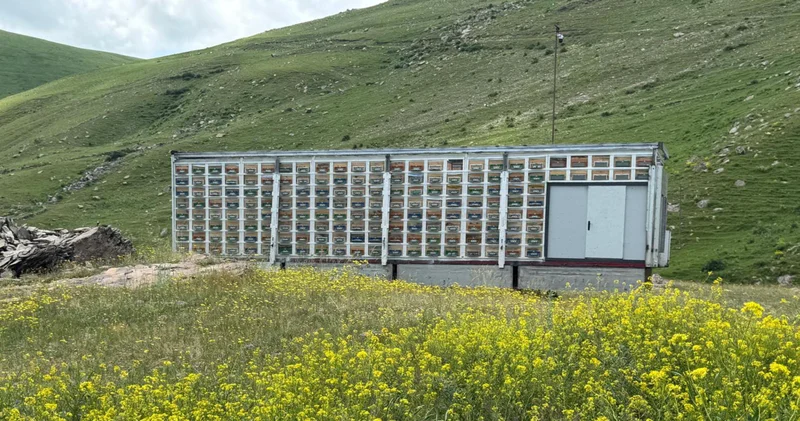 TIR dorsesinden sıra dışı dönüşüm... 8 katlı üretim merkezi!