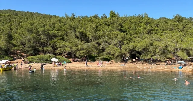 Ayvalık ta ormanlara giriş yasak ama denetim yetersiz Balıkesir Valiliği yasakladı ama vatandaşlar ormanlık alanlara rahatça girmeye devam ediyor Balıkesir Haberleri Habertürk Yerel Haberler