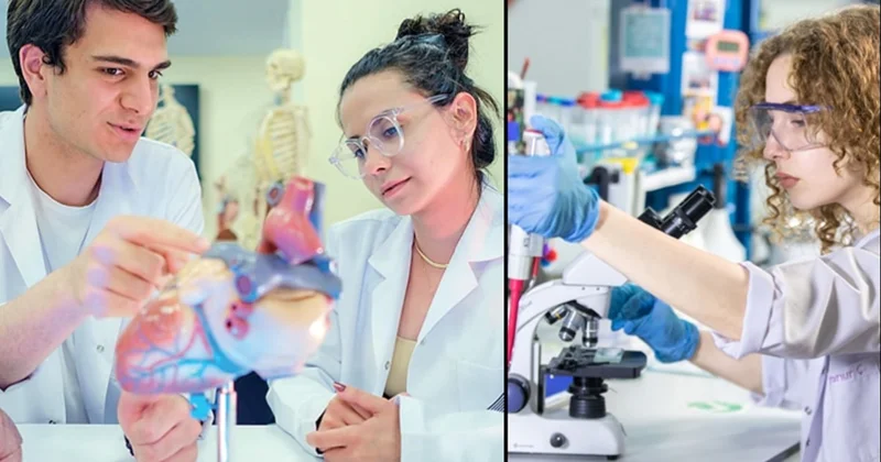 Hormonlu notlar hayallerini çaldı Sözcü Gazetesi