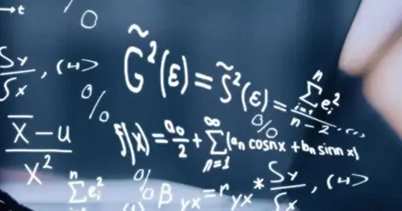 Beyni toplu iğne başı kadar ama matematik yapabiliyor Sözcü Gazetesi