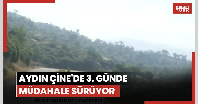 Aydın Çine de 3. günde müdehale sürüyor