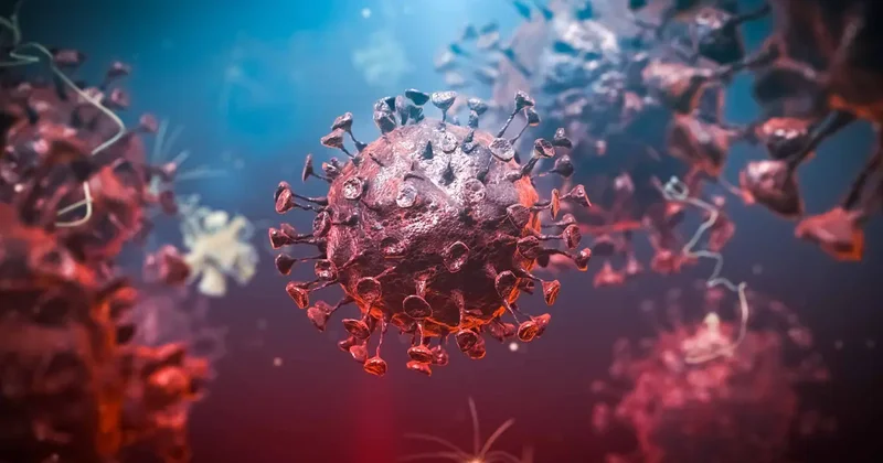 Dünya Sağlık Örgütü: Demokratik Kongo Cumhuriyeti ndeki Ebola salgını kontrolden çıkıyor