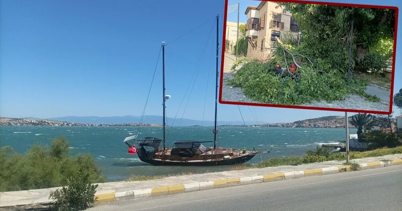 Ağaçları kökünden söktü, çatıları uçurdu, tekneleri kıyıya attı Sözcü Gazetesi