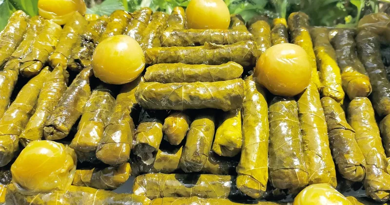 İDİL AÇIKALIN Erkilet yaprağını konuşturan sarma