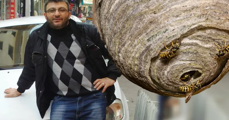 Eşek arı yuvasına sıcak su döktü! 1 hafta sonra doğum gününde hayatını kaybetti