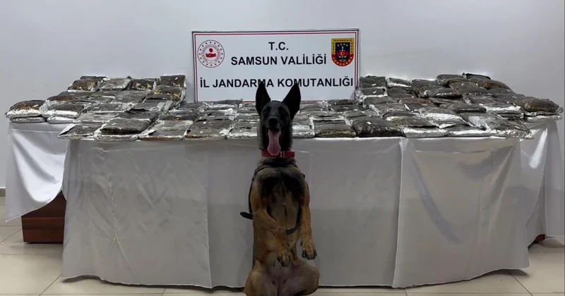 Samsun da bir tırda 132 kilogram uyuşturucu ele geçirildi