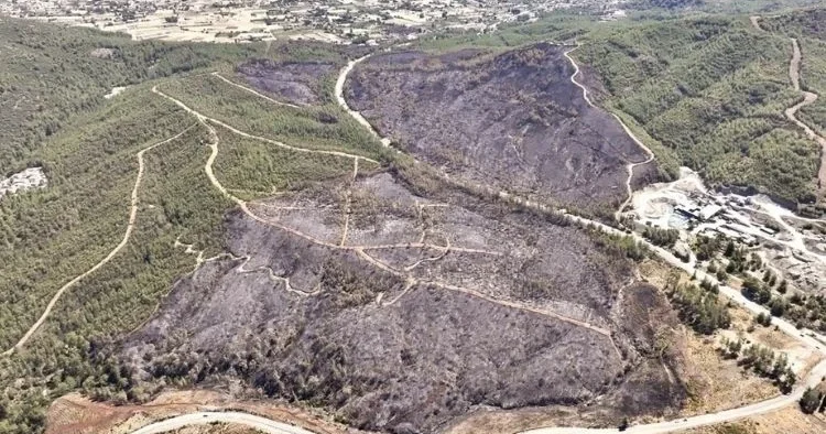 Balıkesir’de 2 kişi tutuklandı… Ormanı kaynakla yakmışlar