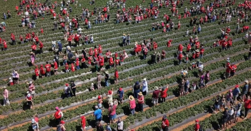 1522 kişi aynı anda rekor kırdı: Tek bir kural vardı Sözcü Gazetesi
