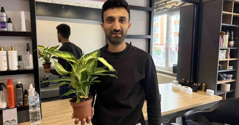 Evlerde süs bitkisi olarak yetiştiriliyor! Ağlayan çiçeği yiyen 2 yaşındaki çocuk yoğun bakıma kaldırıldı