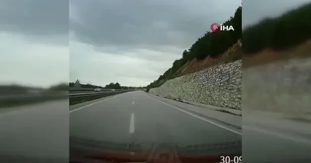 Yola düşen geyiğin yardımına koştu