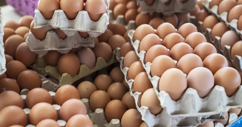 Yumurtayı kapakta saklayanlar dikkat! İşte uzmanların uyardığı o tehlike