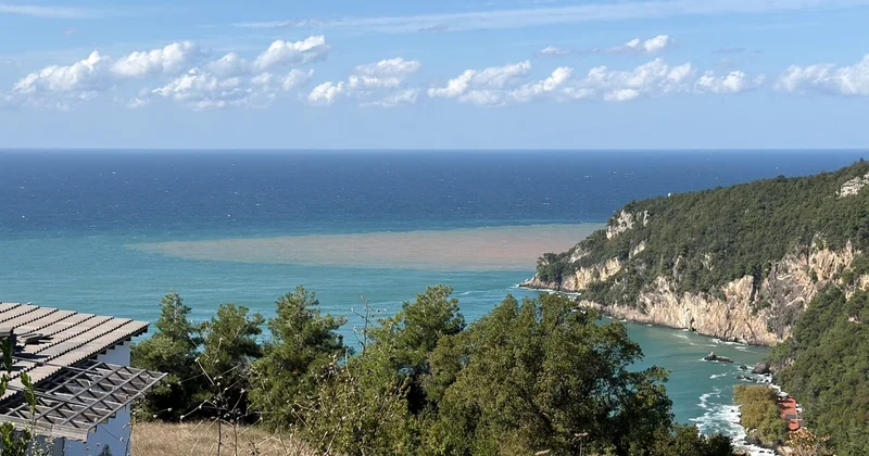 Bartın Irmağı nın taşıdığı çamur Karadeniz i boyadı: Kıyılarda deniz kahverengi renge büründü