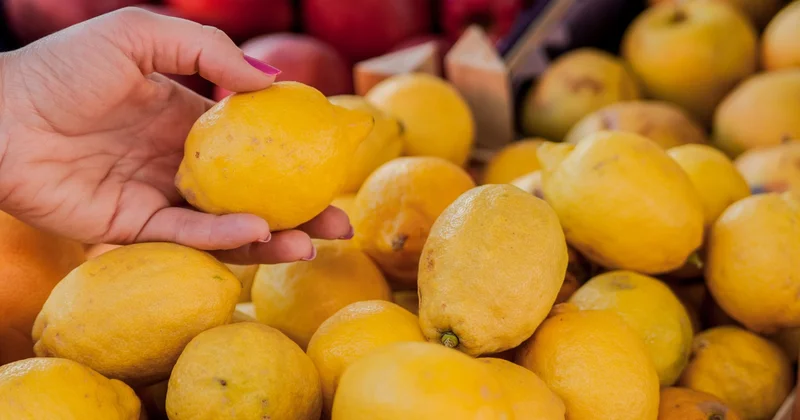 TZOB eylülde üretici market fiyat farkını en fazla limonda yüzde 633,4 olarak açıkladı