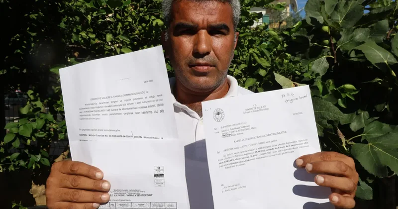 Adana da komşusuyla aynı anda ekti! Büyüme farkını gören çiftçinin tepesi attı
