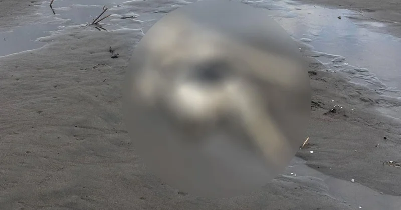 Samsun Terme de sahilde bulunan insan iskeletinin üzerinde mayo benzeri kıyafet çıktı