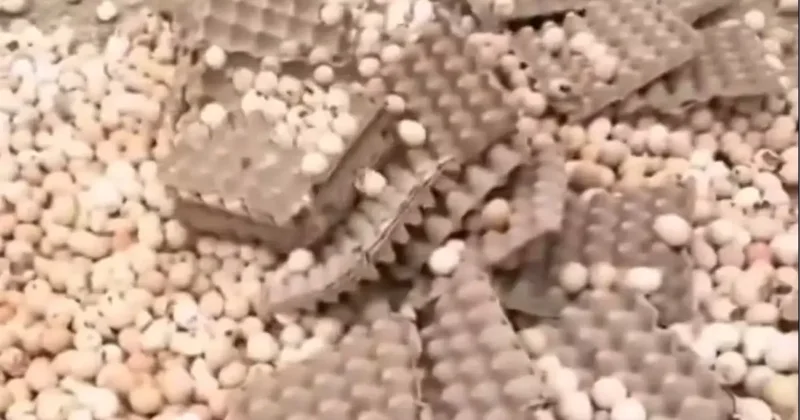 Bu da sahte yumurta! Yapılan hile ağızları açık bıraktı