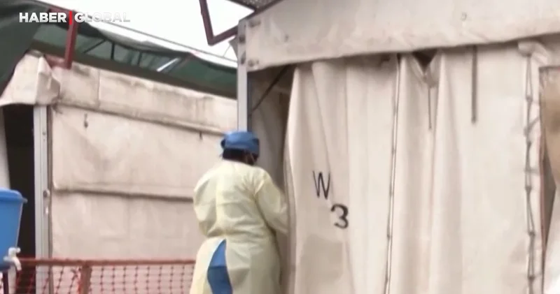 DSÖ den korkutan açıklama: M çiçeği virüsü dünyaya mı yayılıyor?