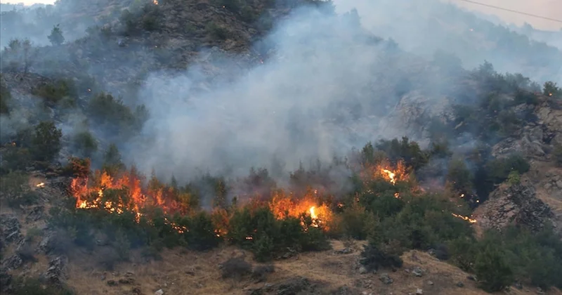 Yangına dirençli ormanlar geliyor: 20 bin hektarda YARDOP projesi başlıyor Sözcü Gazetesi