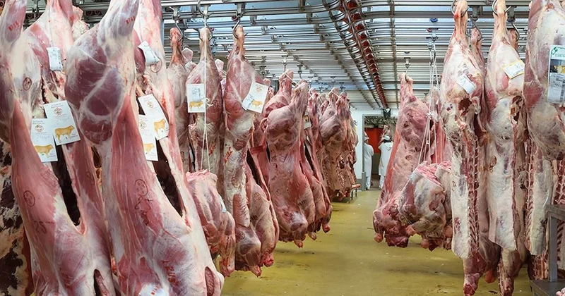 Avrupa nın 100 yıllık et tedarikçisi iflas etti! Sözcü Gazetesi