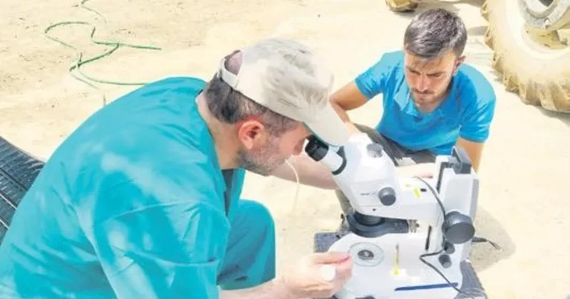 Süt alerjisine genetik çözüm