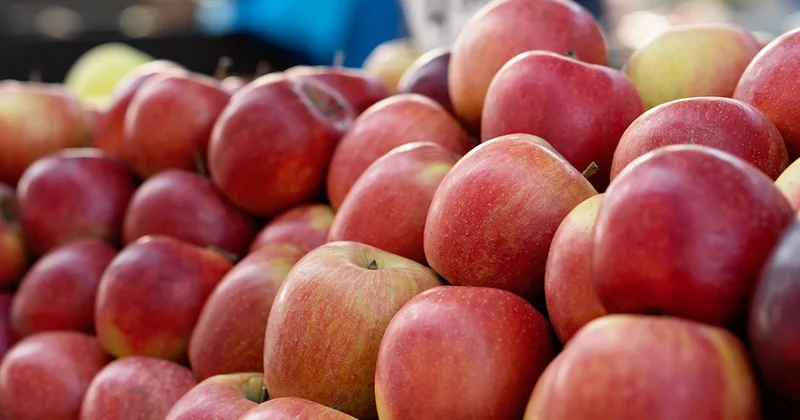 Elmayı böyle saklarsanız ilkbahara kadar taze kalacak Sözcü Gazetesi
