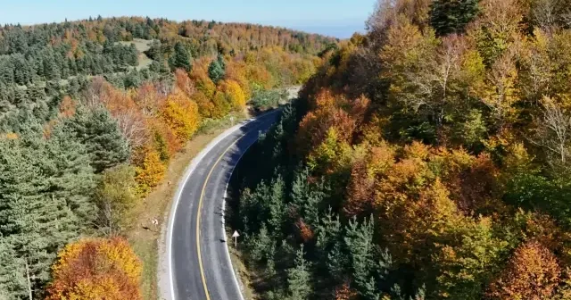 Kızlan Yaylası sonbaharın tüm renklerine ev sahipliği yapıyor VİDEO İZLE