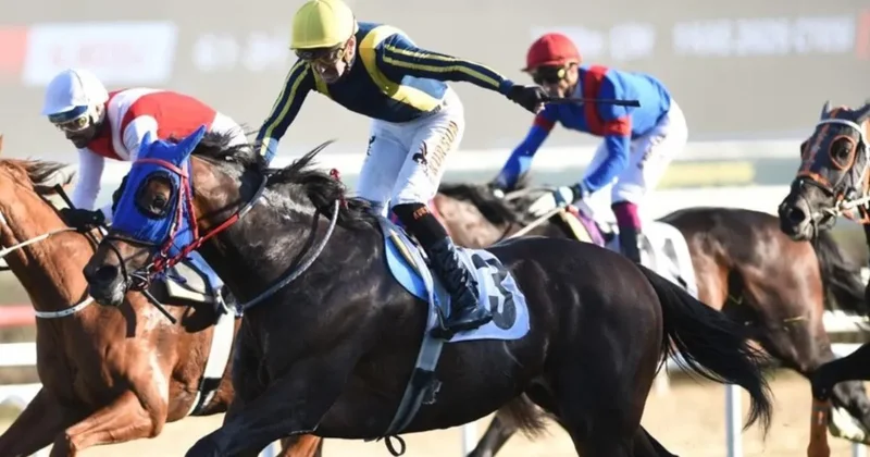 87. Cumhurbaşkanlığı Koşusu şampiyonu Grande Flusso oldu