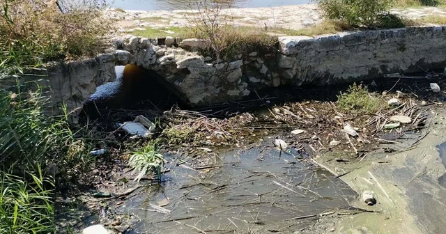 Biriken atıklar temizlenmezse çöpler Ege Denizi ne ve Bafa Gölü ne kadar ulaşır Aydın Haberleri