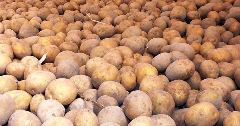 Ticaret Bakanlığından patates fiyatlarına ilişkin açıklama