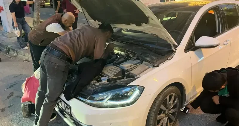 Antalya da kaputa giren kedi yavrusu kurtarıldı Gündem Haberleri